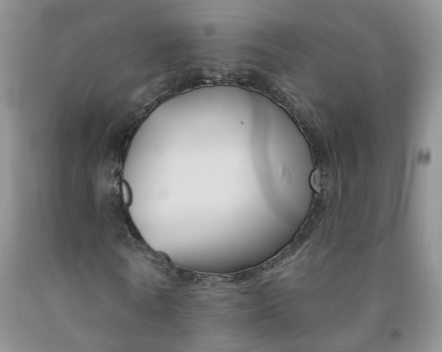 X0000091990770200709201447