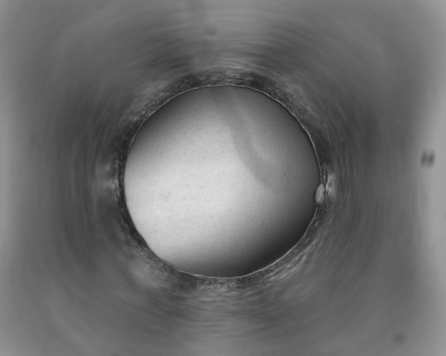 X0000091990771200709201447