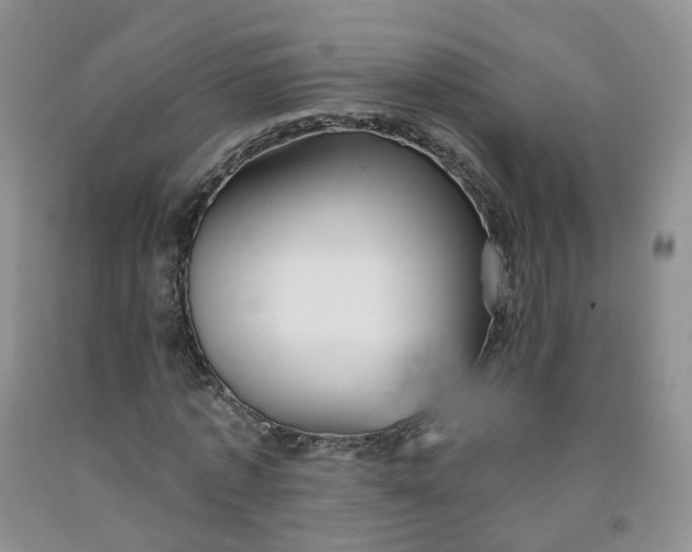 X0000091990773200709201447