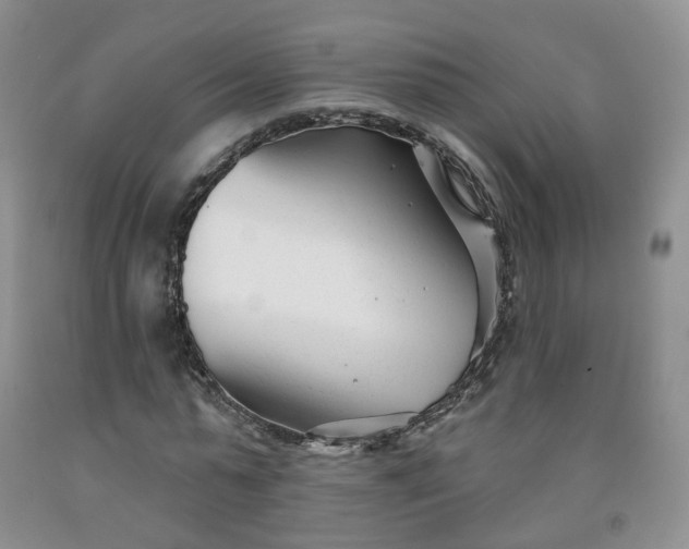 X0000091990775200709201447