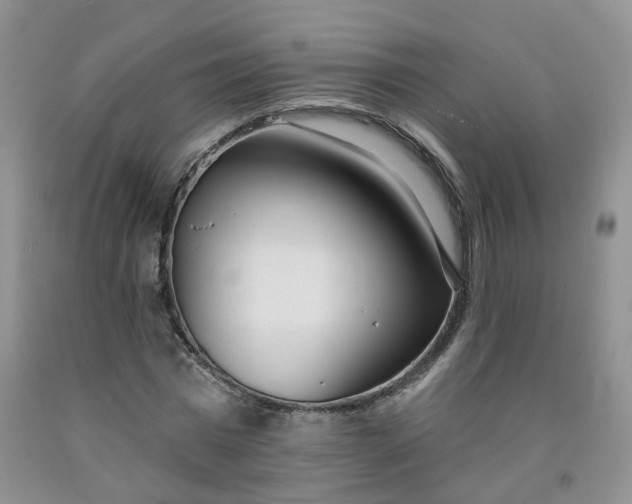 X0000091990777200709201447