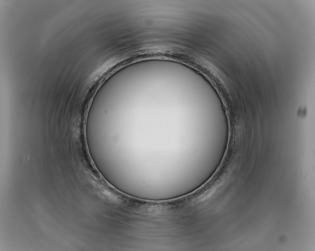 X0000091990778200709201447