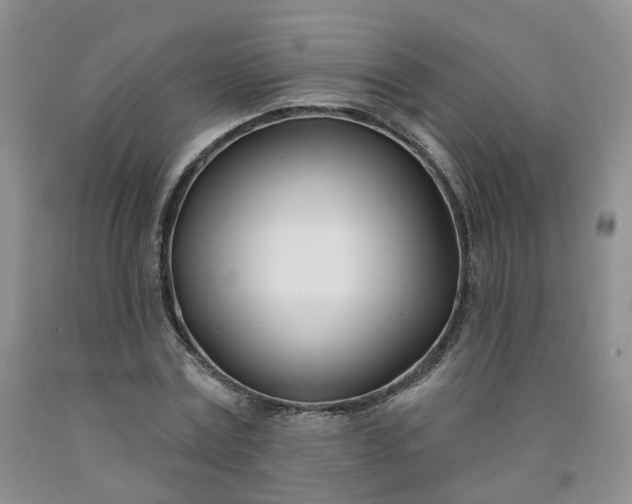 X0000091990779200709201446