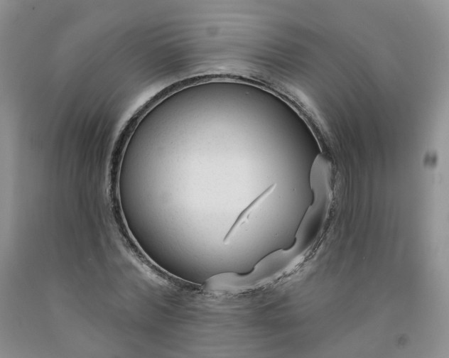 X0000091990780200709201446