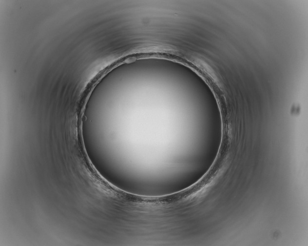 X0000091990781200709201446