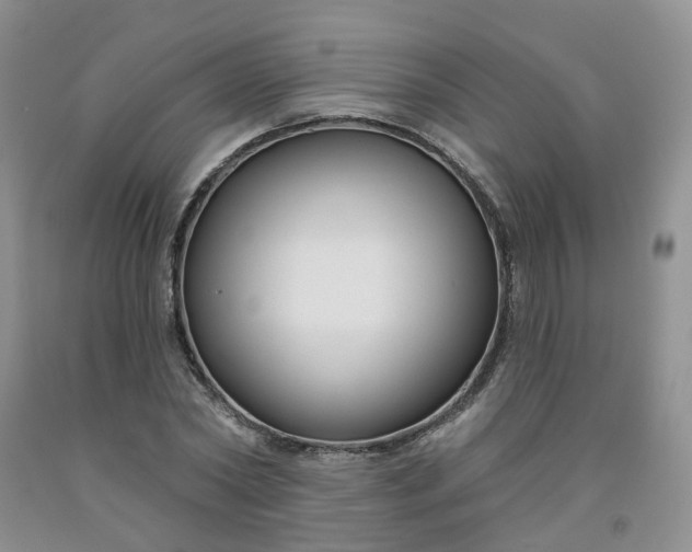 X0000091990782200709201446