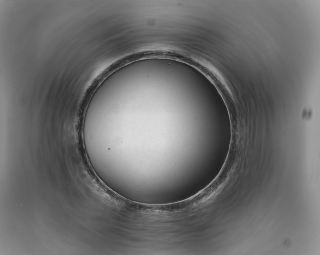 X0000091990783200709201446