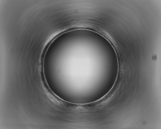 X0000091990787200709201446