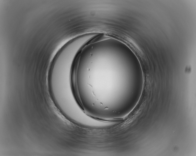 X0000091990788200709201446