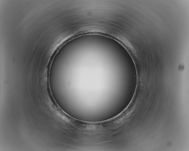 X0000091990790200709201446