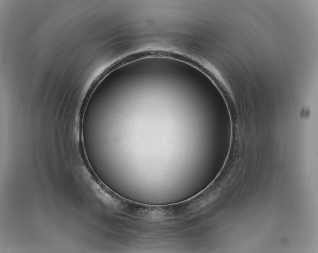 X0000091990791200709201446