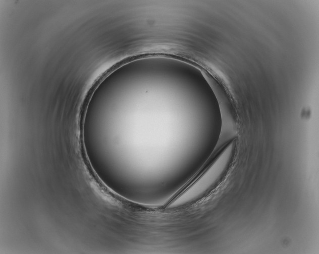 X0000091990792200709201446