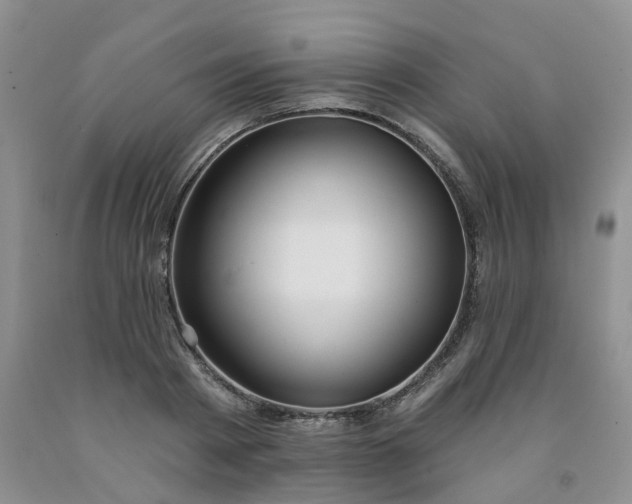 X0000091990793200709201446