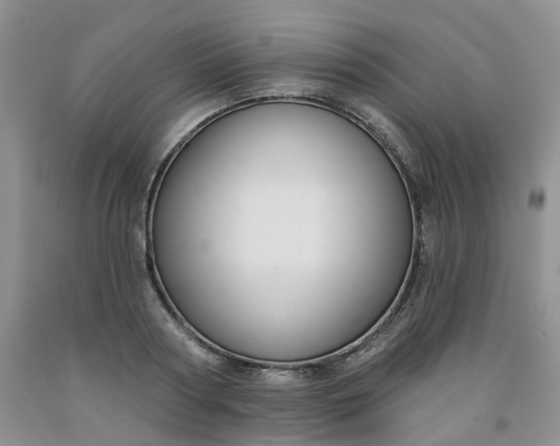 X0000091990794200709201446