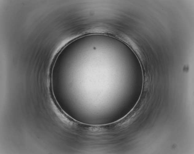 X0000091990795200709201446