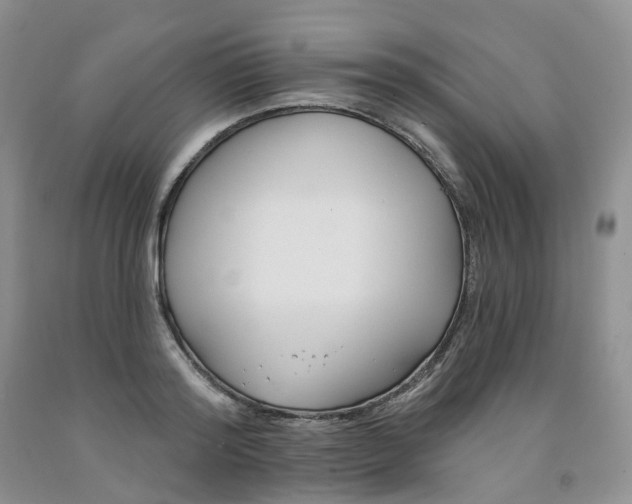 X0000091990796200709201446
