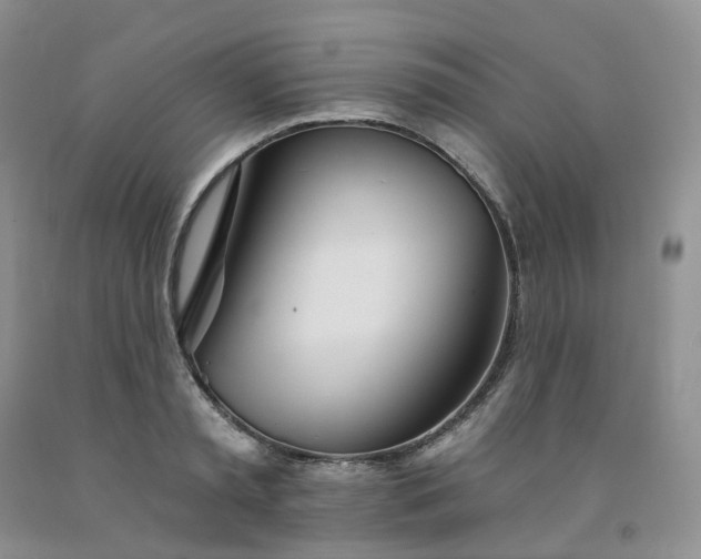 X0000091990797200709201446