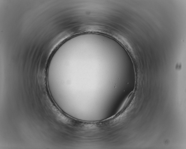 X0000091990798200709201446