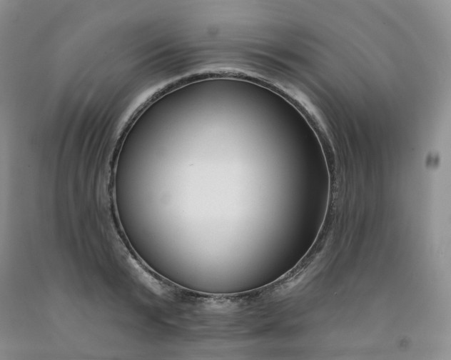 X0000091990799200709201446