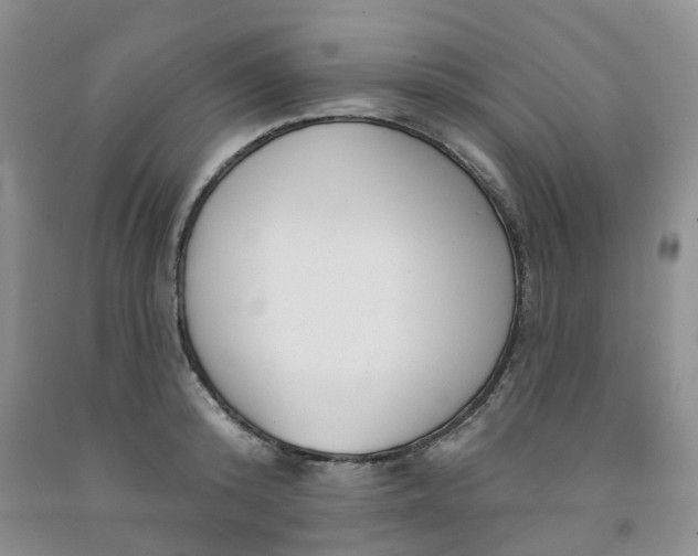 X0000091990800200709201446