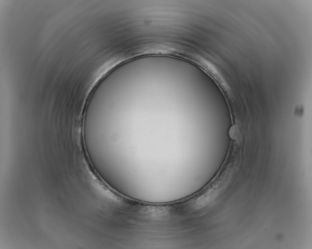 X0000091990802200709201446