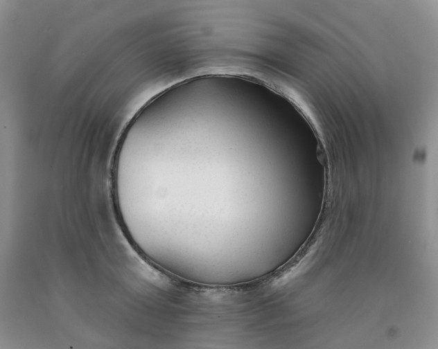 X0000091990803200709201446