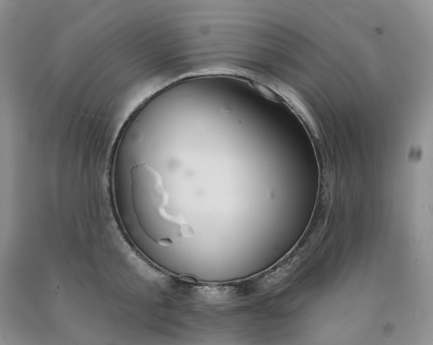 X0000091990805200709201446