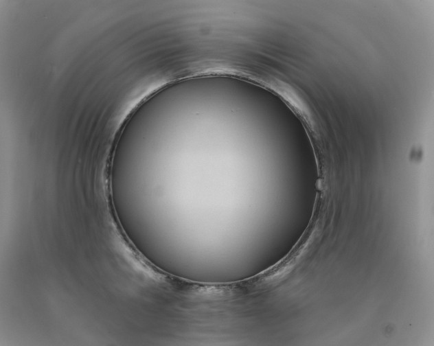 X0000091990806200709201446