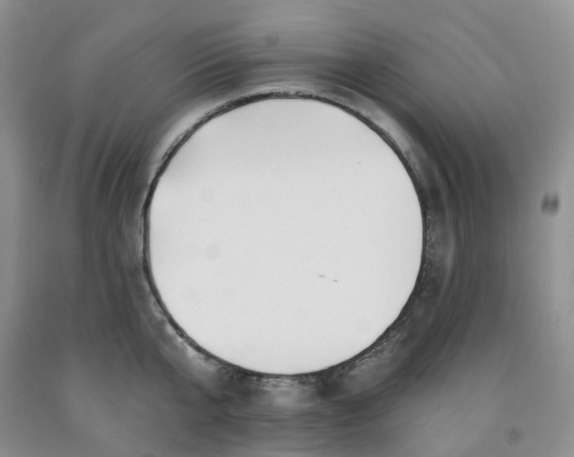 X0000091990807200709201446