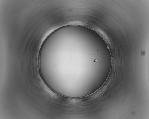 X0000091990808200709201446