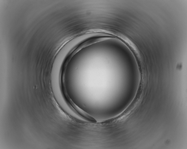 X0000091990809200709201446