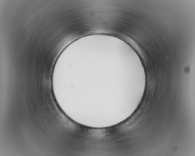 X0000091990810200709201446