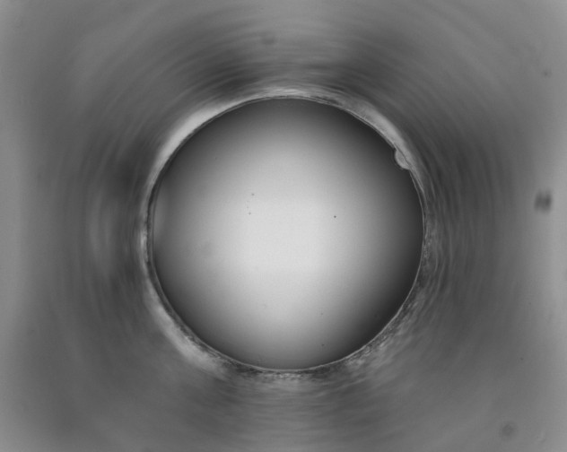X0000091990811200709201446
