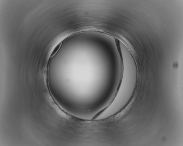X0000091990812200709201446