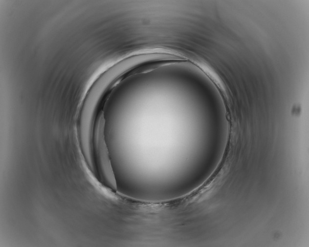 X0000091990813200709201446