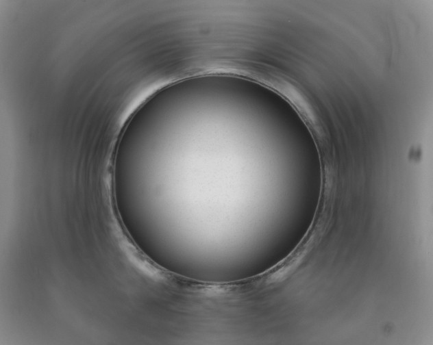 X0000091990814200709201446