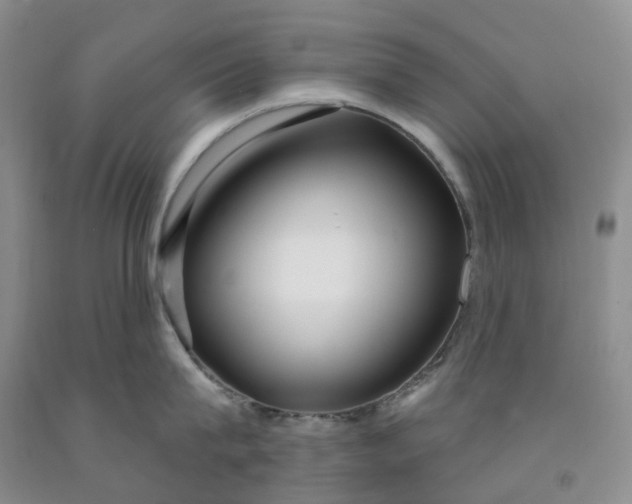 X0000091990815200709201446