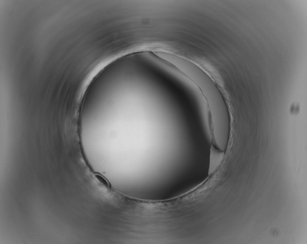 X0000091990816200709201446