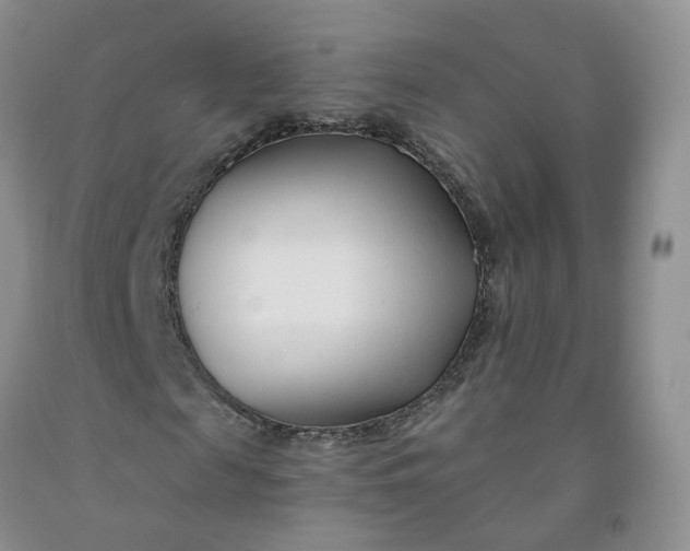 X0000091990817200709201445