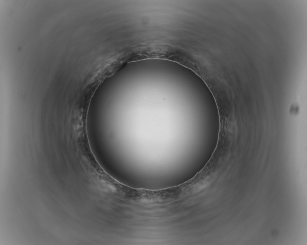 X0000091990818200709201445
