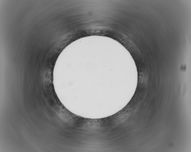 X0000091990820200709201445