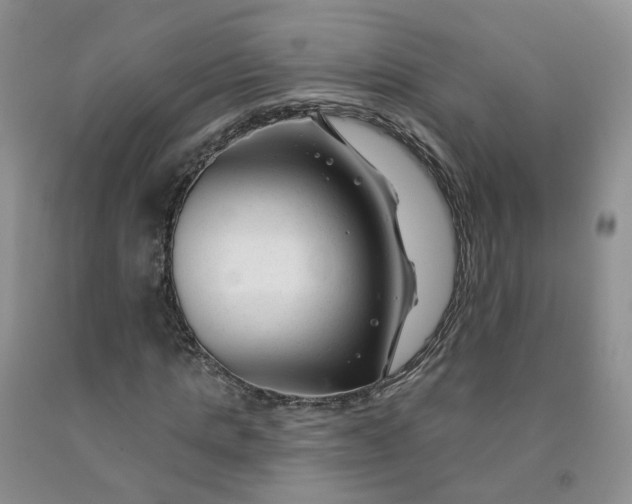 X0000091990821200709201445