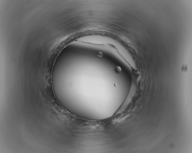 X0000091990822200709201445