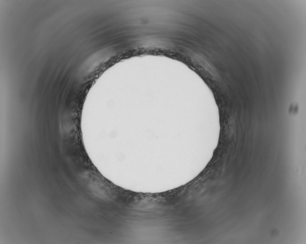 X0000091990824200709201445