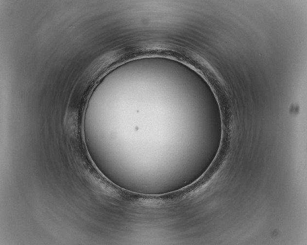 X0000091990825200709201445