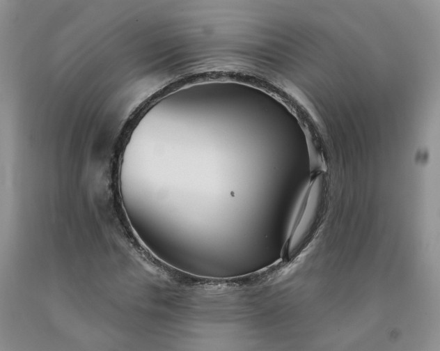 X0000091990826200709201445