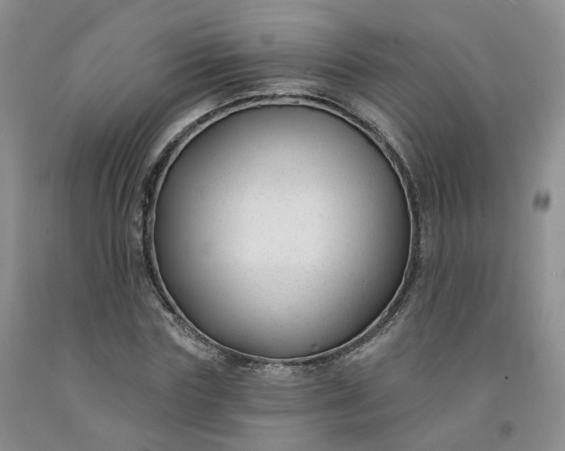 X0000091990827200709201445