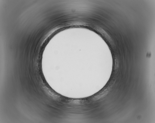 X0000091990828200709201445