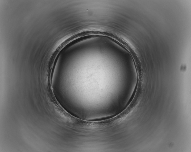 X0000091990829200709201445