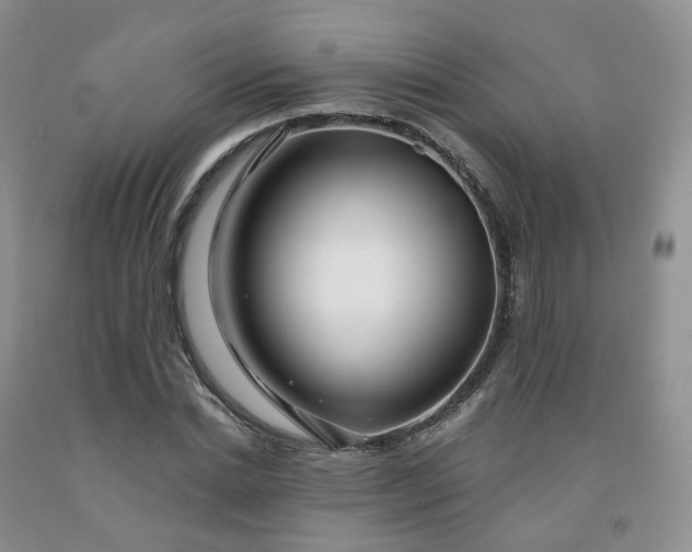 X0000091990830200709201445